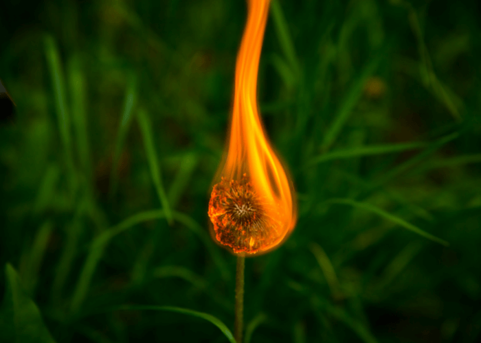 Life Petals Blog: Hard To Heal - My Story For God's Glory