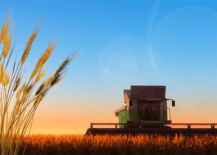 Life Petals Daily Prayer: Sowing The Right Seeds Having the right hearvest. Christian Prayer Blog